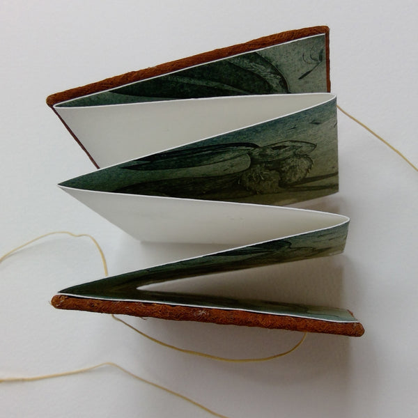 Husk - a hand printed concertina book