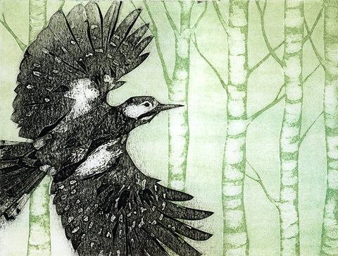 Great Spotted Woodpecker