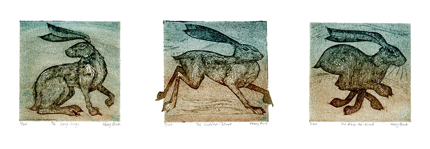 The Long Lugs, The Sudden Start and The Race the Wind