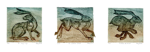 The Long Lugs, The Sudden Start and The Race the Wind